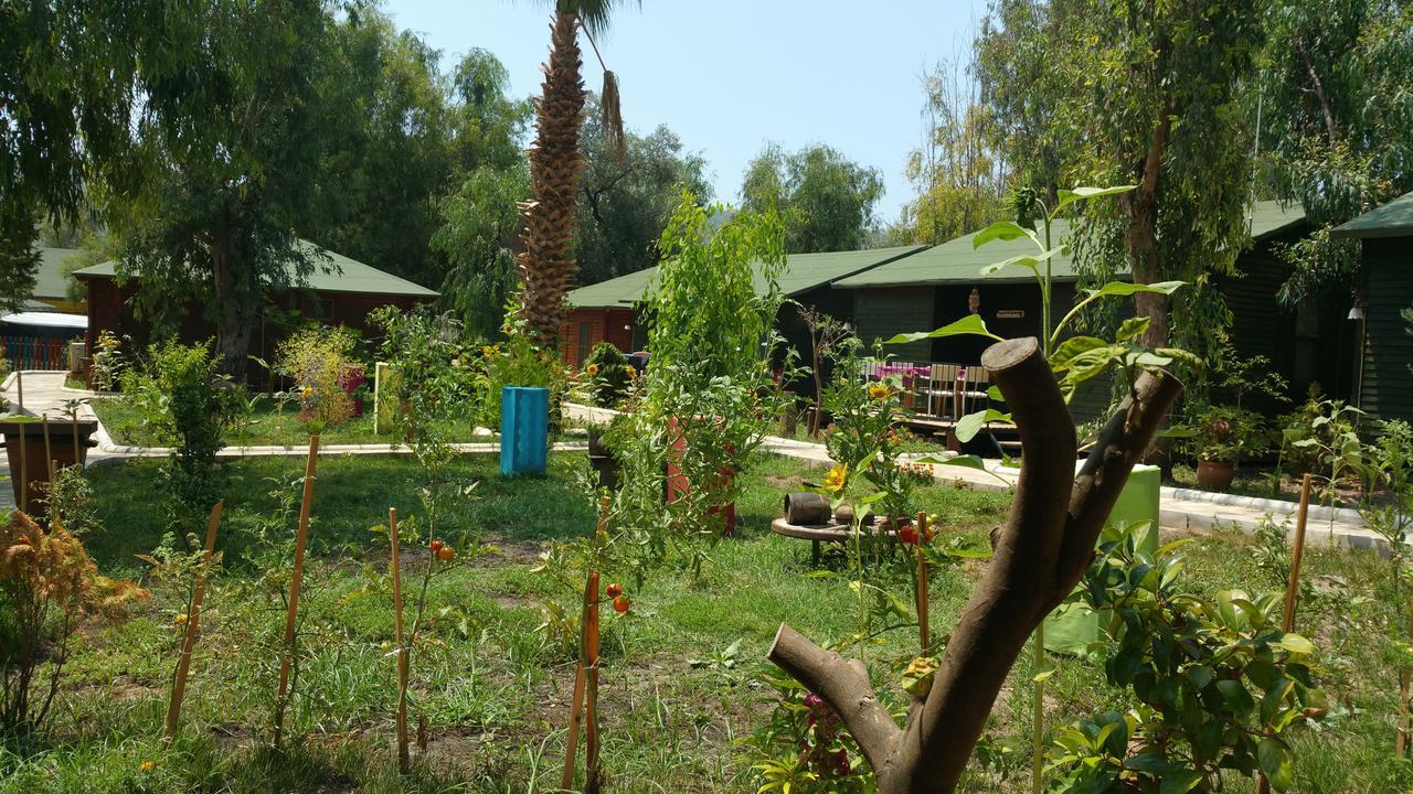 Oba Beach Hotel Oludeniz Kültér fotó